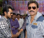 Jr NTR Baadshah Movie Launch Stills