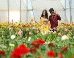 Bhale Bhale Magaadivoy Movie Working Stills | Posters | Wallpapers