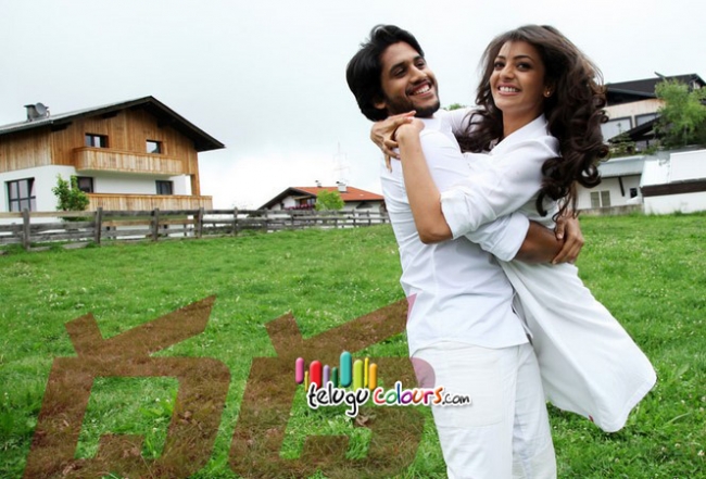 Dhada Movie Latest Pics