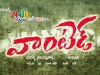 Gopichand Wanted Movie Audio Lauch