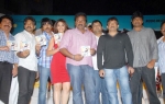 Mirapakaya Audio Function