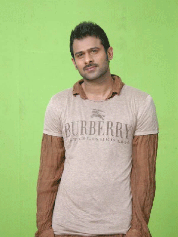 Prabhas Mr.Perfect Latest Images