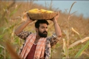 Rangasthalam Telugu Movie Postures| Stills Pictures