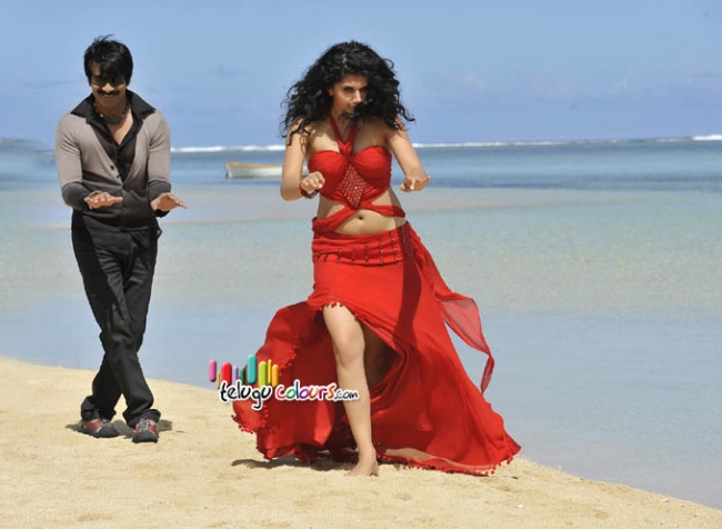 Veera Telugu movie images