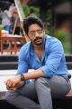 Shailaja Reddy AlluduTelugu Movie Posters Shailaja Reddy Alludu Telugu Movie stills, Shailaja Reddy Alludu Telugu Movie pictures, Shailaja Reddy AlluduTelugu Movie updates.