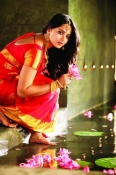 Anushka New Pics