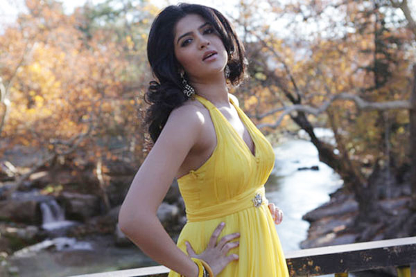 Deeksha Seth Hot stills