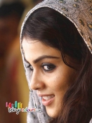 Genelia Latest Stills