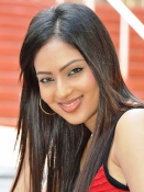 Nikesha Patel Photo Gallery