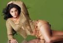 Priyamani Hot pics