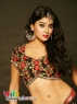 Shriya Saran Hot pics