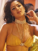 Nikisha Patel Sexy Images