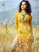 Piaa Bajpai Sexy Images