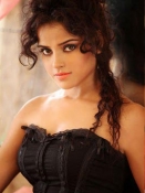 Piaa Bajpai swimsuit pics