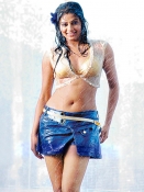 Priyamani Navel pics