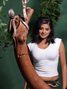 Priyamani hot wet pics