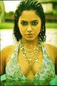 Sameera Reddy Topless pics